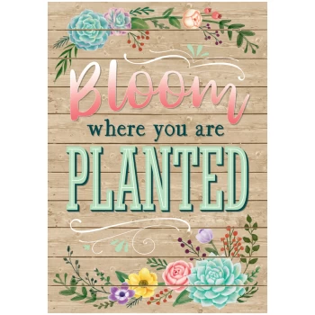 TCR7428   Bloom Where You Are Planted - Positive Poster