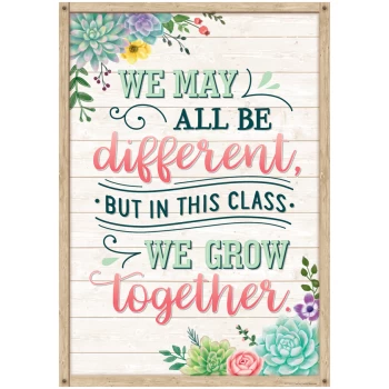 TCR7442       We May All Be Different, but in This Class We Grow Together - Positive Poster