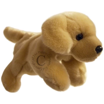 PC001808  Yellow Labrador / Full-Bodied Puppet