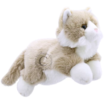 PC001828     The Puppet Company - Cat - Beige & White - Full-Bodied