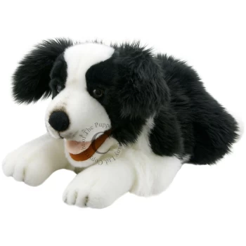 PC003007 Border Collie / Playful Puppies Puppet