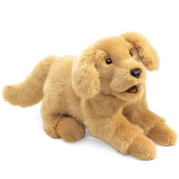 FM2862    Golden Retriever Puppy - Folkmanis Hand Puppets
