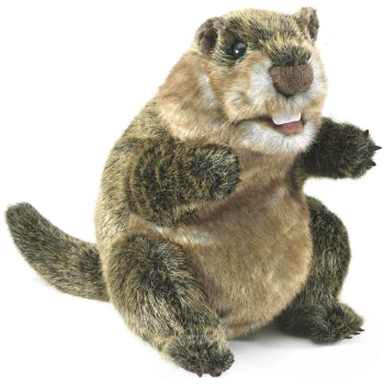 FM3169    Groundhog - Folkmanis Hand Puppet