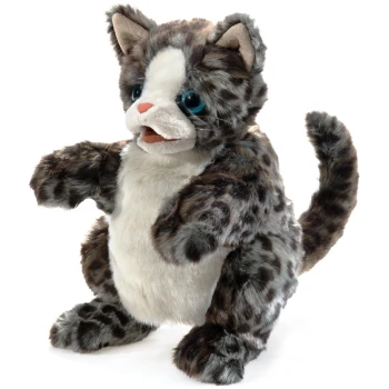 FM3205 Wildcat Kitten