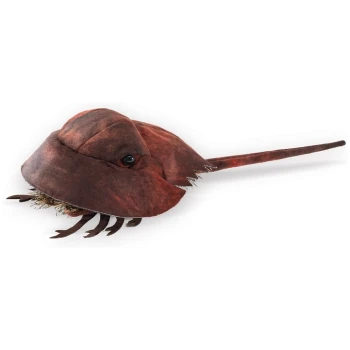 FM3218 Horseshoe Crab Hand Puppet