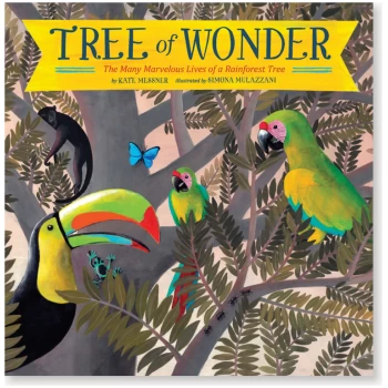 CB029 Tree of Wonder