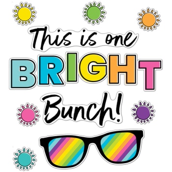 CD110525  This Is One Bright Bunch Bulletin Board Set