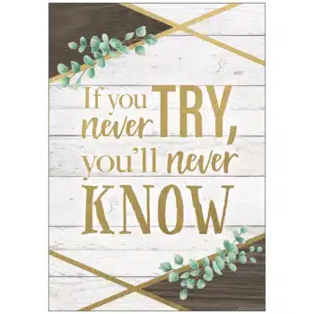 TCR7979 If You Never Try, You'll Never Know Positive Poster