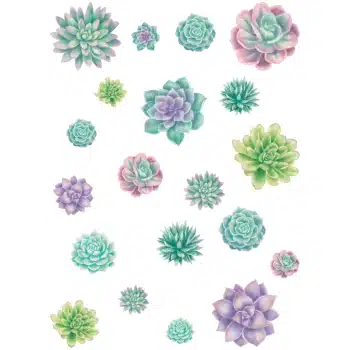 TCR8590  Rustic Bloom Succulent Accents - Assorted Sizes