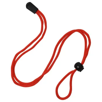 Recorder Accessories and Teaching Aides